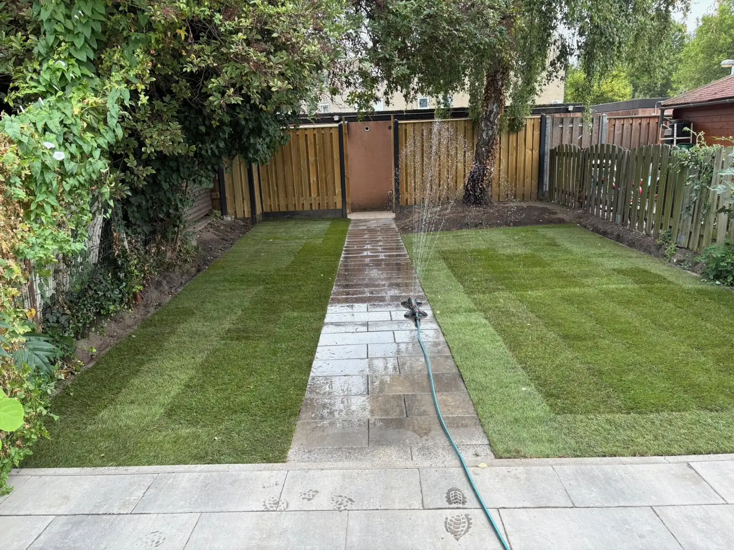 Vers gazon, Tuinbazen