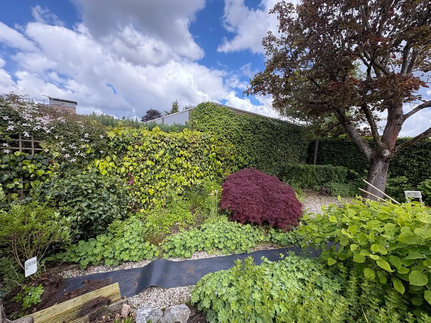 Onderhouden tuin door Tuinbazen