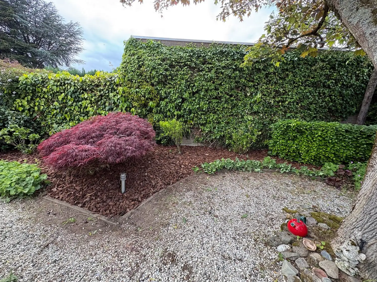 Border met Japanse esdoorn, Tuinbazen